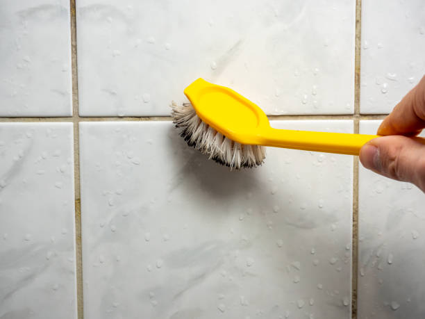 Best Black Mold Removal  in Elida, OH